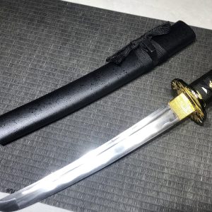 Japanese Tanto | Steel Specification | SKU 70872402231464